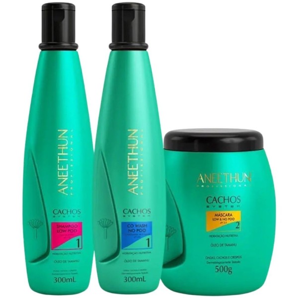 Encontraproduto.com.br - Aneethun Kit Cachos System Shampoo E Máscara