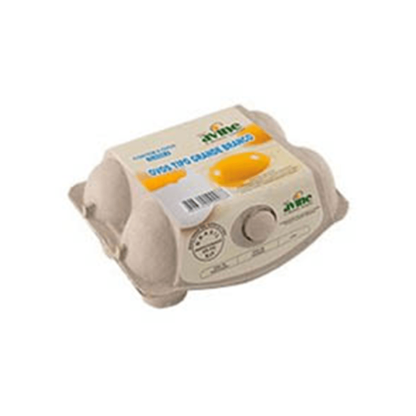 Encontraproduto.com.br - Ovos Brancos Grandes Avine c/ 6 Unid