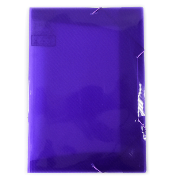 Encontraproduto.com.br - PASTA TRANSP. ABA/ELAST OF A-02B LILAS 312