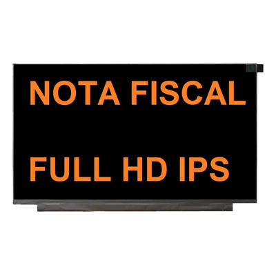 Encontraproduto.com.br - Cróton Híbrido Variado - Folha Imperial Pote 24