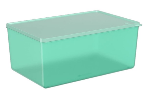 Encontraproduto.com.br - Pote em plástico Coza Basic 4,5 litros verde elétrico
