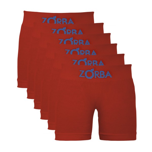Kit com 06 Cuecas Boxer Zorba Algodão sem Costura Infantil 678