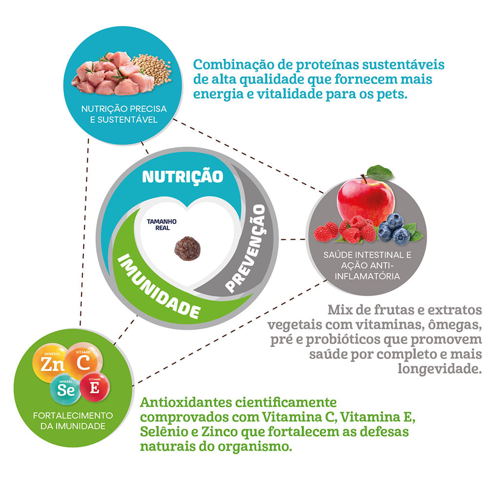 Encontraproduto.com.br - Ração Naturalis Lifebites Cães Sênior Porte Médio e Grande Peru, Frango, Legumes e Frutas