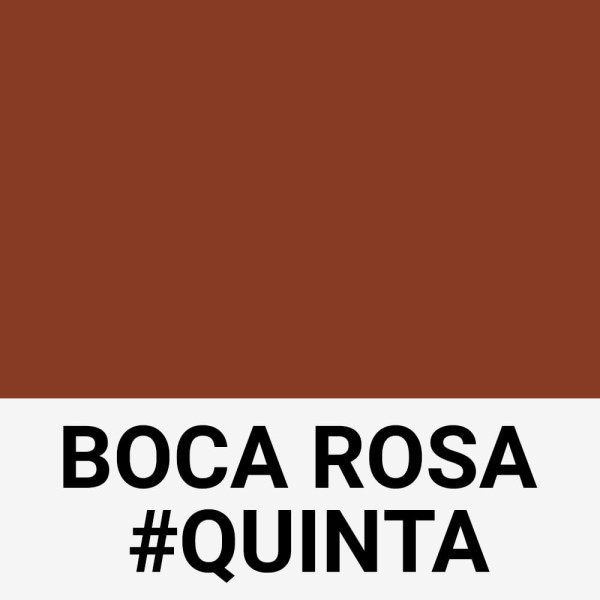 Encontraproduto.com.br - Payot Boca Rosa Beauty - Batom Líquido Matte 4ml Fucsia