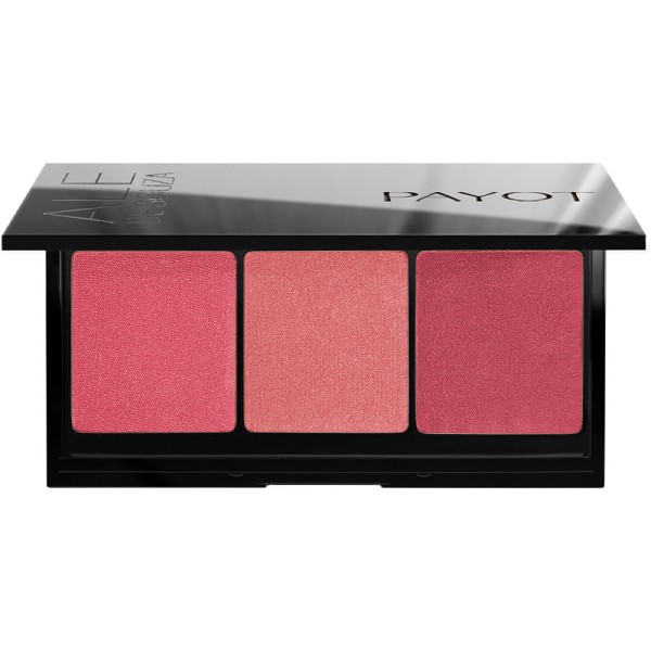 Encontraproduto.com.br - Payot by Ale de Souza - Paleta de Blushes