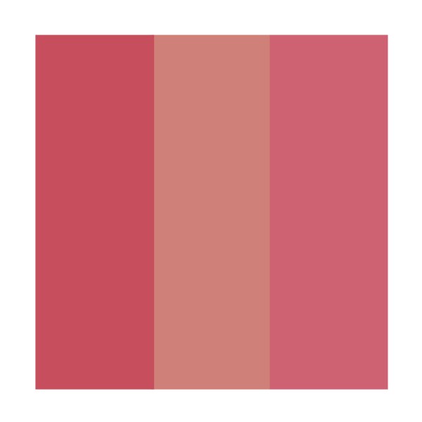 Encontraproduto.com.br - Payot by Ale de Souza - Paleta de Blushes