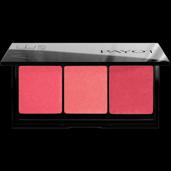 Encontraproduto.com.br - Payot by Ale de Souza - Paleta de Blushes