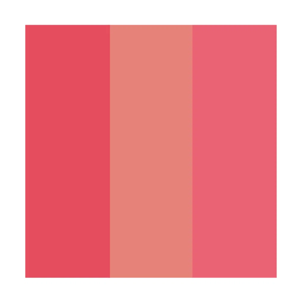 Encontraproduto.com.br - Payot by Ale de Souza - Paleta de Blushes