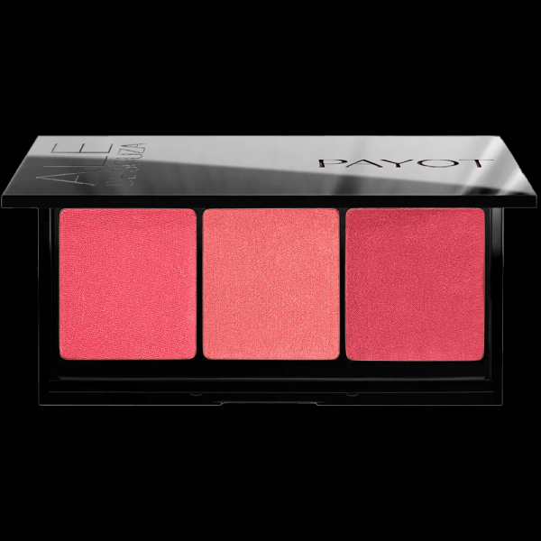 Encontraproduto.com.br - Payot by Ale de Souza - Paleta de Blushes