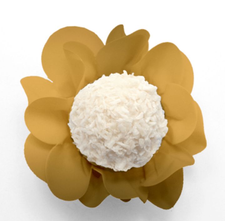 Encontraproduto.com.br - Forma Nstyle Ouro C-40 Ultrafest