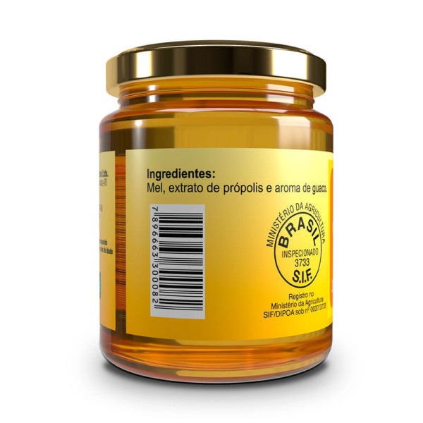Encontraproduto.com.br - Mel Própolis Apis Flora Aiguaco 300g