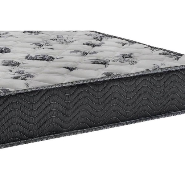 Encontraproduto.com.br - Cama Box Baú Queen: Colchão Espuma D33 Ortobom / Ep Iso 100 Ultra Firme + Base Brown(158X198)