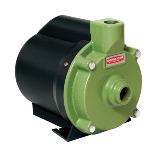 Encontraproduto.com.br - Motobomba Centrífuga Schneider Bcr-2000 1/4 CV 127 Volts