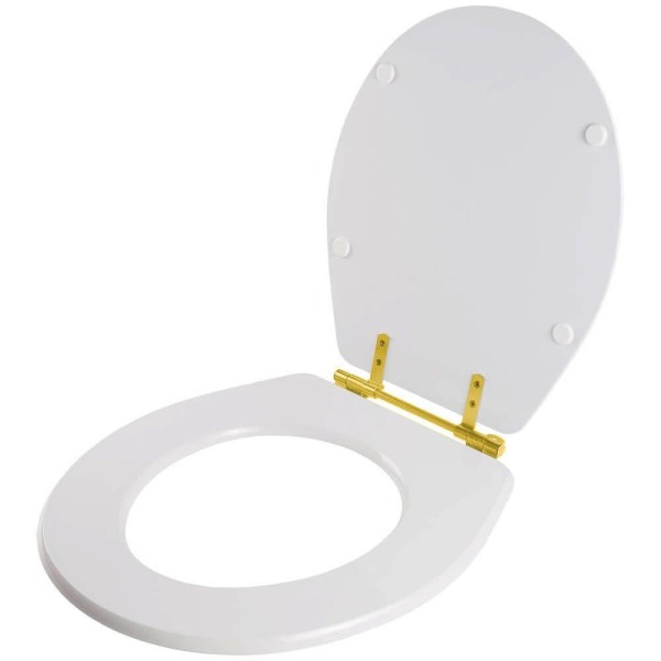 Encontraproduto.com.br - Tampa de Vaso Poliester Ravena Cinza Real para bacia Deca Com Ferragem Dourada