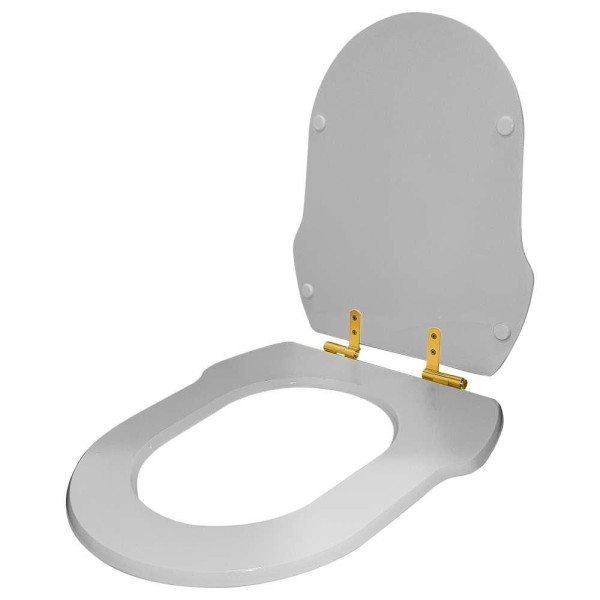 Encontraproduto.com.br - Assento Sanitário Com Fechamento Lento Ibiza Cinza Platina Para Vaso Incepa Com Ferragem Dourada
