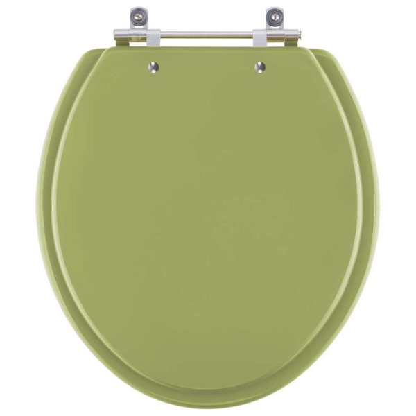 Encontraproduto.com.br - Assento Sanitário Convencional / Oval Verde Itapoã para vaso Celite