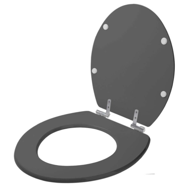 Encontraproduto.com.br - Assento Sanitário Poliester Soft Close Convencional / Oval Cinza Plus (cinza Escuro) Para Vaso Hervy