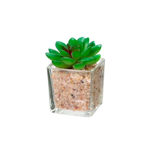 Encontraproduto.com.br - Mini Arranjo Cacto Útil Bazar 8x5x5cm UB4321