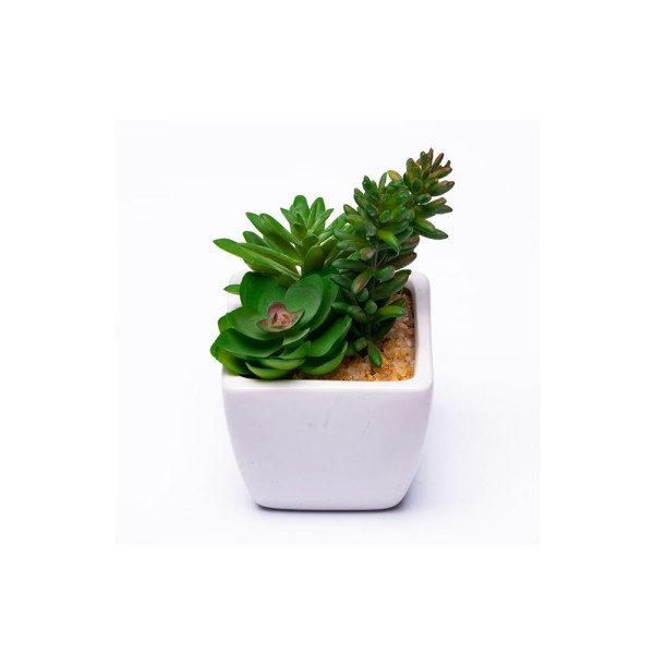 Encontraproduto.com.br - Mini Arranjo Cacto Útil Bazar 12x8x8cm UB4335
