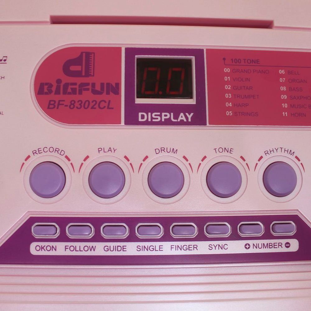 Encontraproduto.com.br - Teclado Eletrônico Semi Profissional 61 Teclas Com Microfone Bigfun Grande