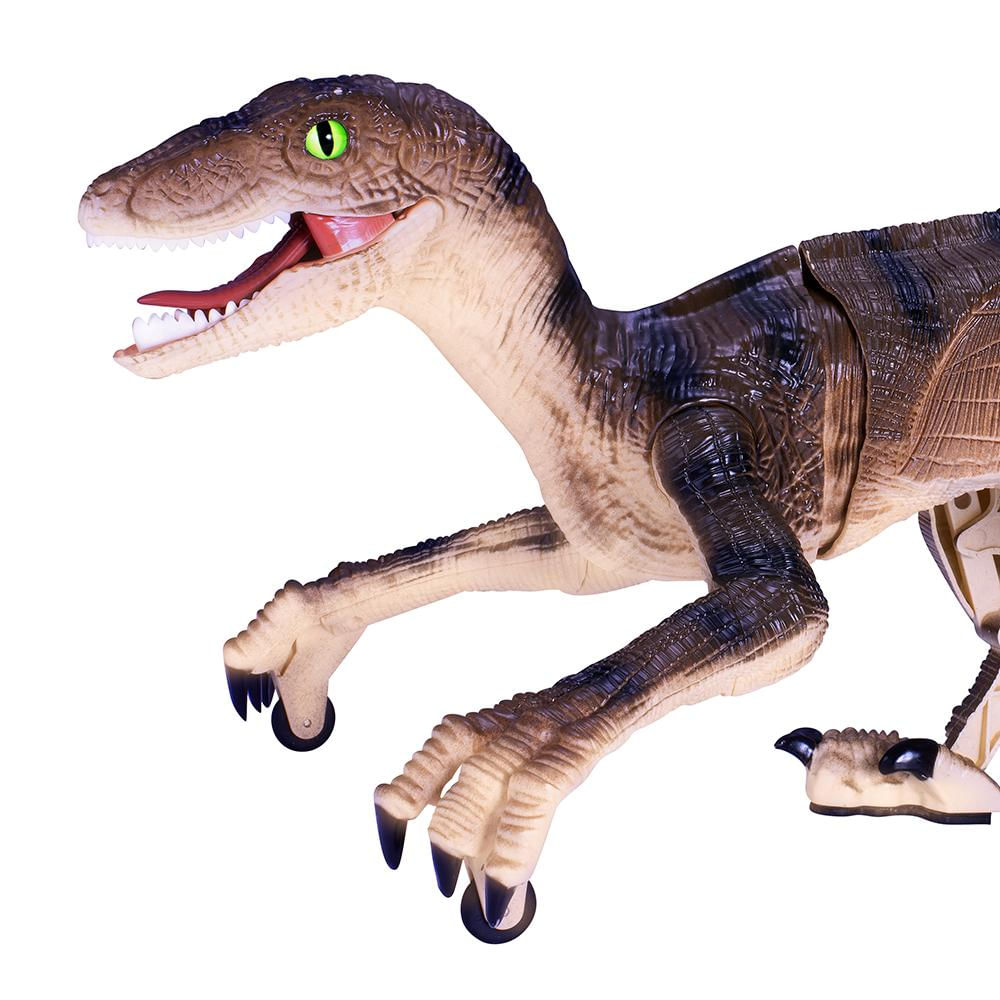 Encontraproduto.com.br - Figura de Ação - Robô Alive - Dinossauro Rush Raptor - Candide