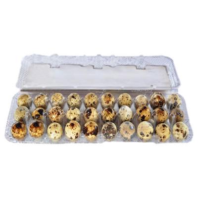 Encontraproduto.com.br - Ovo de Codorna Campo Verde Com 30 Unidades