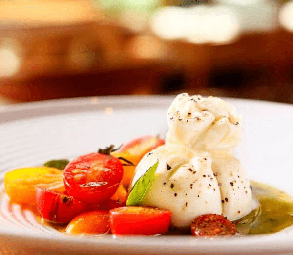 Encontraproduto.com.br - Burrata Fredda