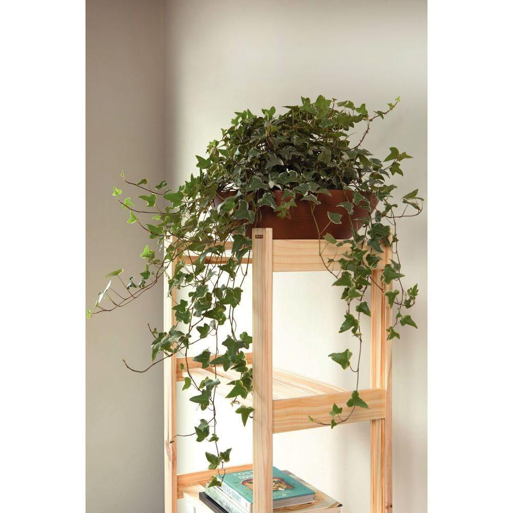 Encontraproduto.com.br - Estante para Livros com 5 Prateleiras Modulare Tramontina