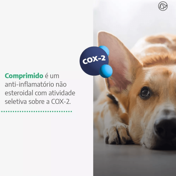 Encontraproduto.com.br - Anti-Inflamatório Firocoxib Vetnil com 7 Comprimidos para Cães