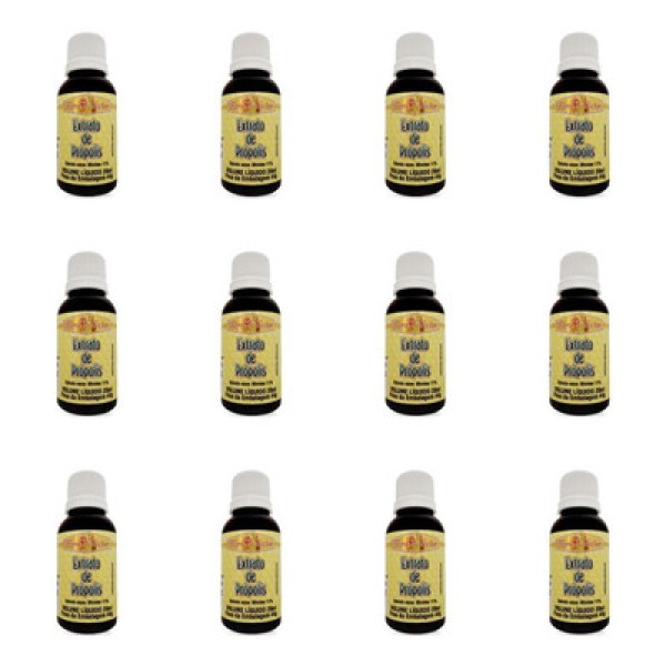 Encontraproduto.com.br - Flora Néctar Extrato Própolis 20ml (kit C/12)
