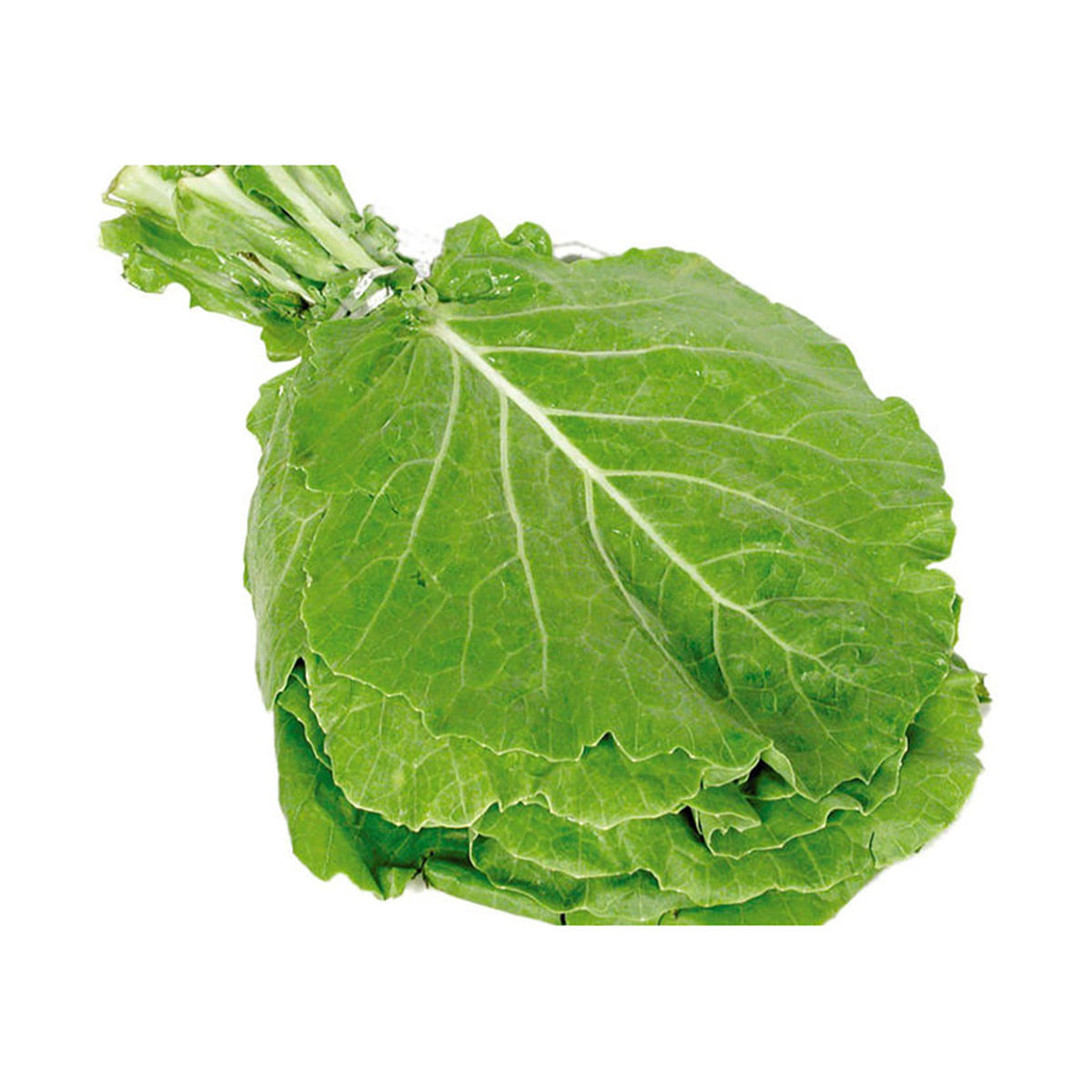 Encontraproduto.com.br - Couve-Manteiga Orgânica Rio de Una Cortada 200g