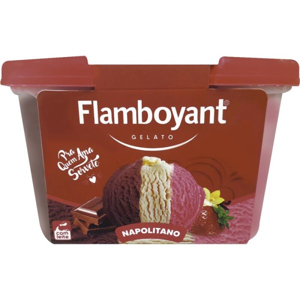 Encontraproduto.com.br - Sorvete Flamboyant Napolitano Pote com 1,5L