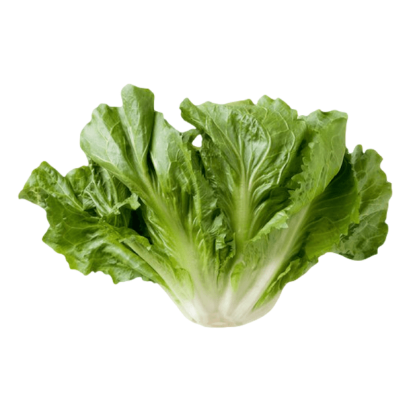 Encontraproduto.com.br - Escarola