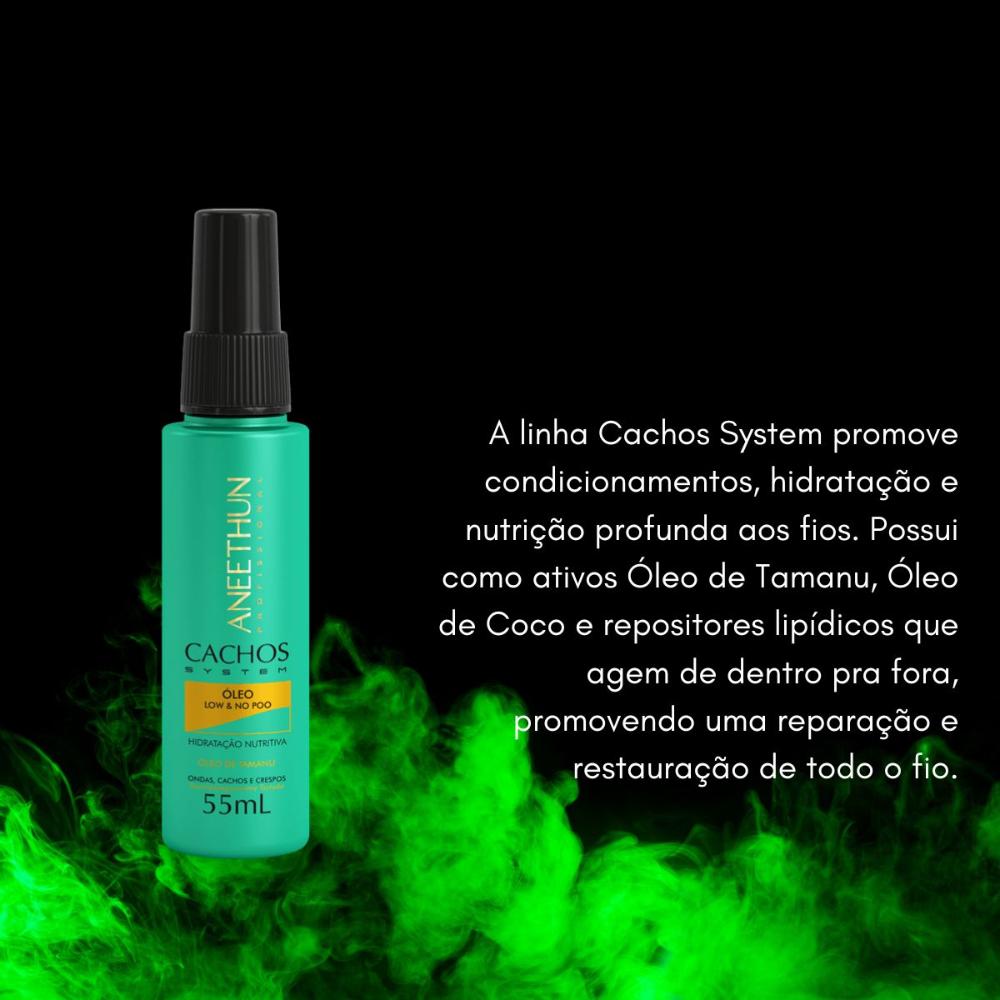 Encontraproduto.com.br - Aneethun óleo Low No Poo Cachos System 55ml