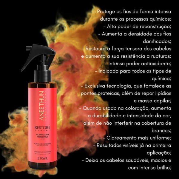 Encontraproduto.com.br - Aneethun Acidificante Restore System 210ml
