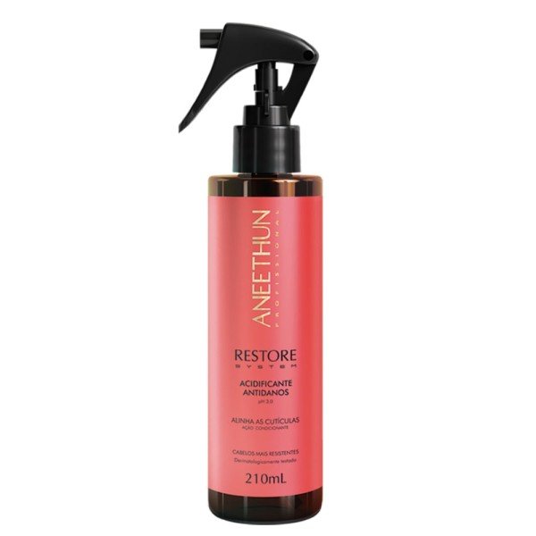 Encontraproduto.com.br - Aneethun Acidificante Restore System 210ml