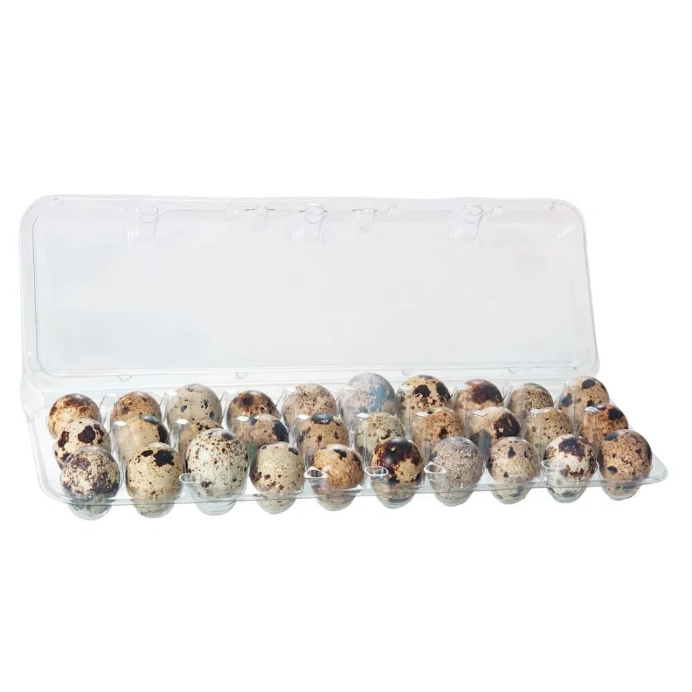 Encontraproduto.com.br - Ovos de Codorna Katayama com 30un
