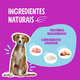 Encontraproduto.com.br - Ração Quatree Select Cães Filhotes Raças Médias e Grandes Frango e Arroz