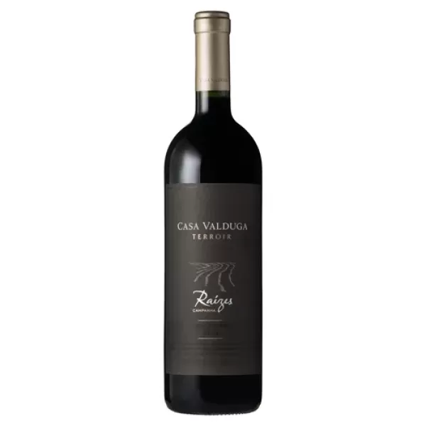 Vinho Casa Valduga Terroir Cabernet Sauvignon 750ml