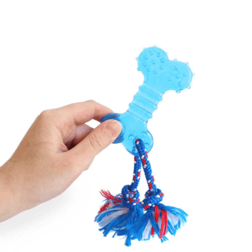 Encontraproduto.com.br - Brinquedo Dentalbone Flat com Corda Odontopet