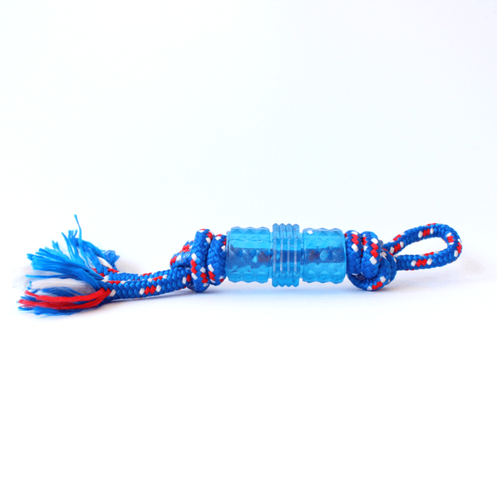 Encontraproduto.com.br - Brinquedo Dentalbone Tubo com Corda Odontopet