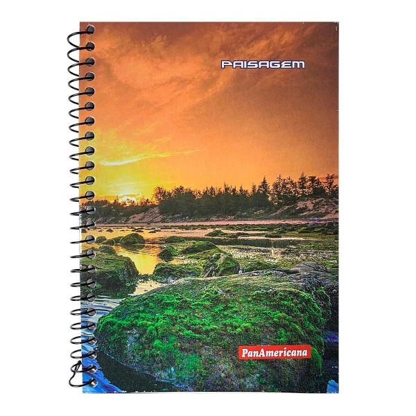 Caderno 10 Matérias Paisagem Panamericana 160fls