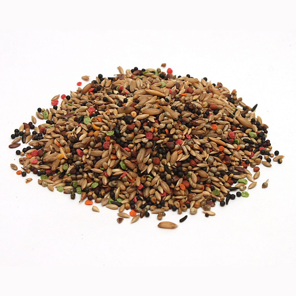 Encontraproduto.com.br - Ração para Pássaros Pássaro Forte Mistura para Canários com 500g