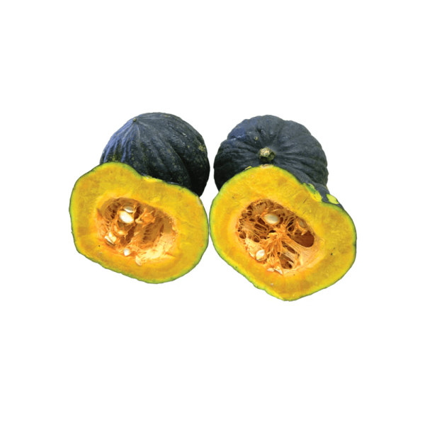 Encontraproduto.com.br - Abóbora Japonesa Recanto da Lua Processada 500g