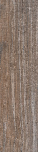Encontraproduto.com.br - Porcelanato Baoba Out Retificado 24,5x100cm - 24076 - Villagres