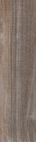 Encontraproduto.com.br - Porcelanato Baoba Out Retificado 24,5x100cm - 24076 - Villagres