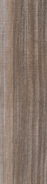 Encontraproduto.com.br - Porcelanato Baoba Out Retificado 24,5x100cm - 24076 - Villagres