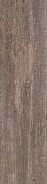 Encontraproduto.com.br - Porcelanato Baoba Out Retificado 24,5x100cm - 24076 - Villagres