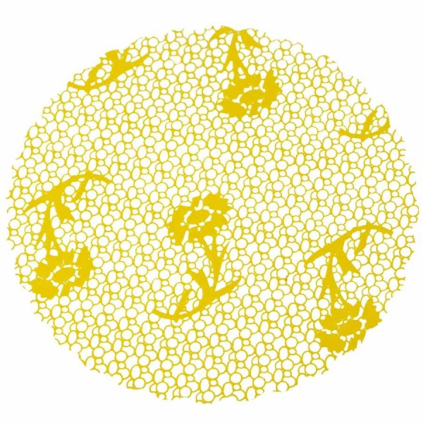 Encontraproduto.com.br - Fundo Decorado N°7 Amarelo com 100 un AIA EMBALAGENS