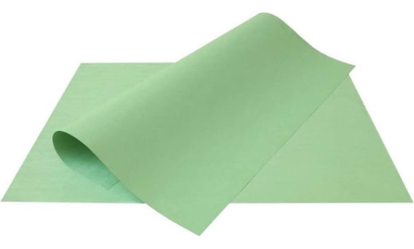 Encontraproduto.com.br - CARTOLINA 120GR 50X66CM VERDE C 2PCS 111236 REIPEL